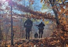 Policia jep detaje për plagosjen dhe rrëmbimin e një personi nga xhandarmëria