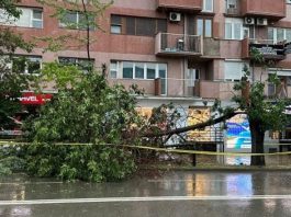 Rrezik nga erërat e forta? – IHMK del me njoftim