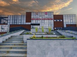 LAJMI I FUNDIT: Gruaja rrah burrin në Podujevë, e bën për spital 