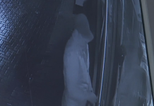 Skandaloze: Për këtë vjedhje të rëndë, hajni u dënua me vetëm 18 muaj burgim!