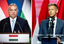 BBC nxjerr sondazhet: Opozita e Magyar fiton zgjedhjet përballë Viktor Orban