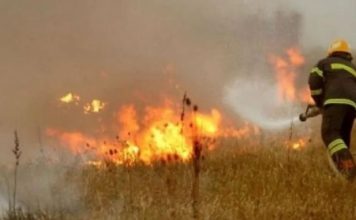 Zjarri dëmton rreth 42 ari grurë në Podujevë, nisin hetimet