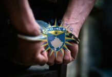Arrestohet në Kosovë një i kërkuar nga Interpoli, përdorte identitet të një personi të vdekur