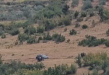Pas disa orësh negociata me policinë, 35 vjeçari qëllon vetën brenda veturës
