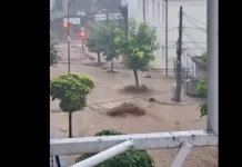 Vërshohet qendra e qytetit të Rahovecit (Video)