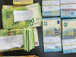 Fshihte 30 mijë euro në kamion, kapet në kufi