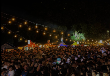 Kush do të këndojë sonte në Park Plazza?