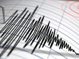 Tërmet në Shqipëri, kaq ishte magnituda