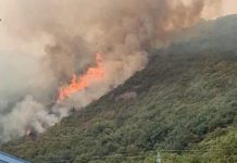 Zjarre masive në Ulqin dhe Herceg Novi