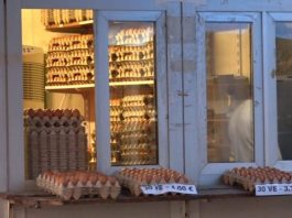 30 vezë deri në 4 euro, qytetarët kërkojnë uljen e çmimeve për produktet bazë