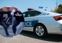Rrahje e rëndë në Podujevë, ka të arrestuar