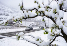 Rikthehet dimri në Zvicër: Deri në 40 centimetra borë në Alpe, temperaturat bien ndjeshëm