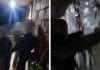 Pamje nga arrestimi i Albert Sylajt, i akuzuar për vrasjen e Arlinda Zekajt (Video)