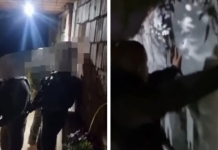 Pamje nga arrestimi i Albert Sylajt, i akuzuar për vrasjen e Arlinda Zekajt (Video)