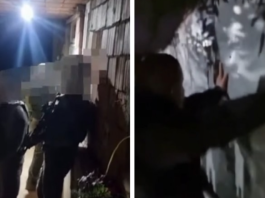 Pamje nga arrestimi i Albert Sylajt, i akuzuar për vrasjen e Arlinda Zekajt (Video)