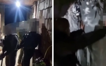 Pamje nga arrestimi i Albert Sylajt, i akuzuar për vrasjen e Arlinda Zekajt (Video)